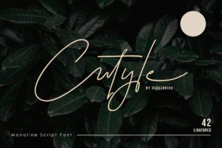 Cutyle Script: A Modern Monoline Font for Authentic Branding
